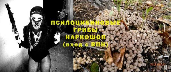 индика Навашино
