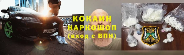 трава Тайга
