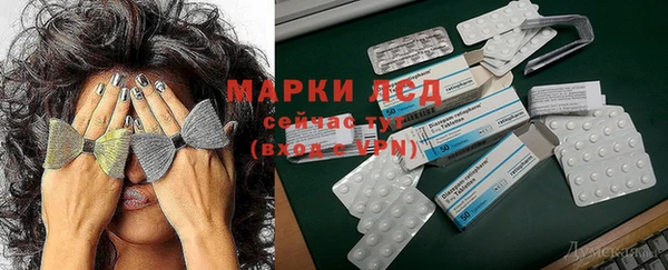 стаф Абинск