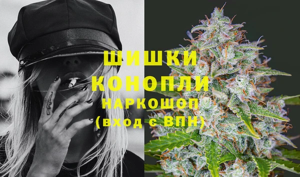 индика Навашино