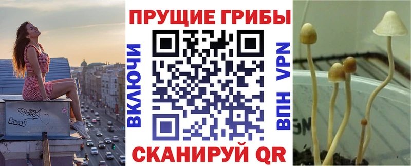 Галлюциногенные грибы MAGIC MUSHROOMS kraken маркетплейс Алдан